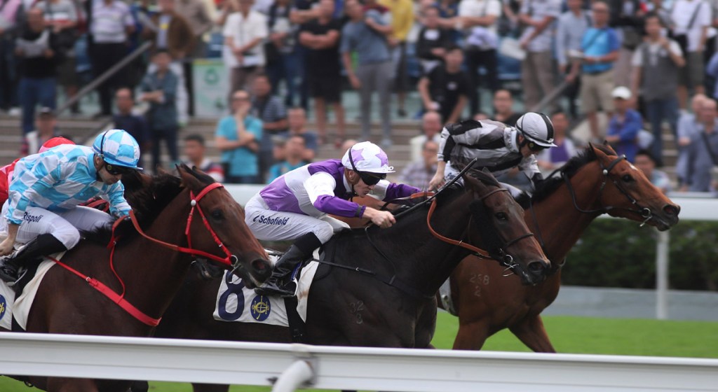 [Flameracing]樂聲盃，大籐王沒壓力鞭打巨人