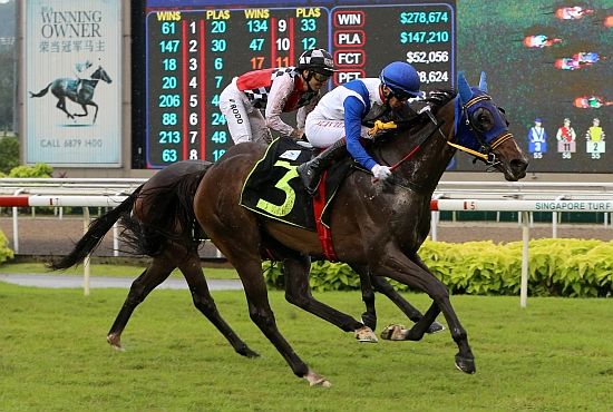 [Flameracing]新加坡金盃，精英無敵實力果真不簡單