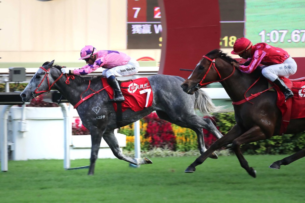 [Flameracing]香港瓶、香港短途錦標賽事全分析（內文更新完成）