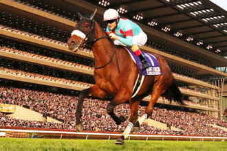 三匹三冠馬夢對決?還是有其他對手搞亂局?(賠率最終更新版)