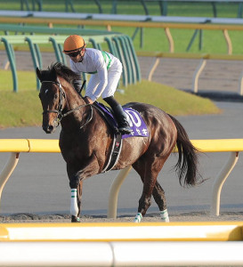 [Flameracing]有馬紀念賽檢討之二，神業反擊戰