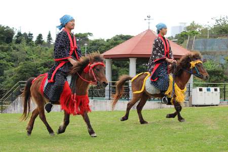 [Flameracing]年末特集，華麗決勝負的琉球競馬