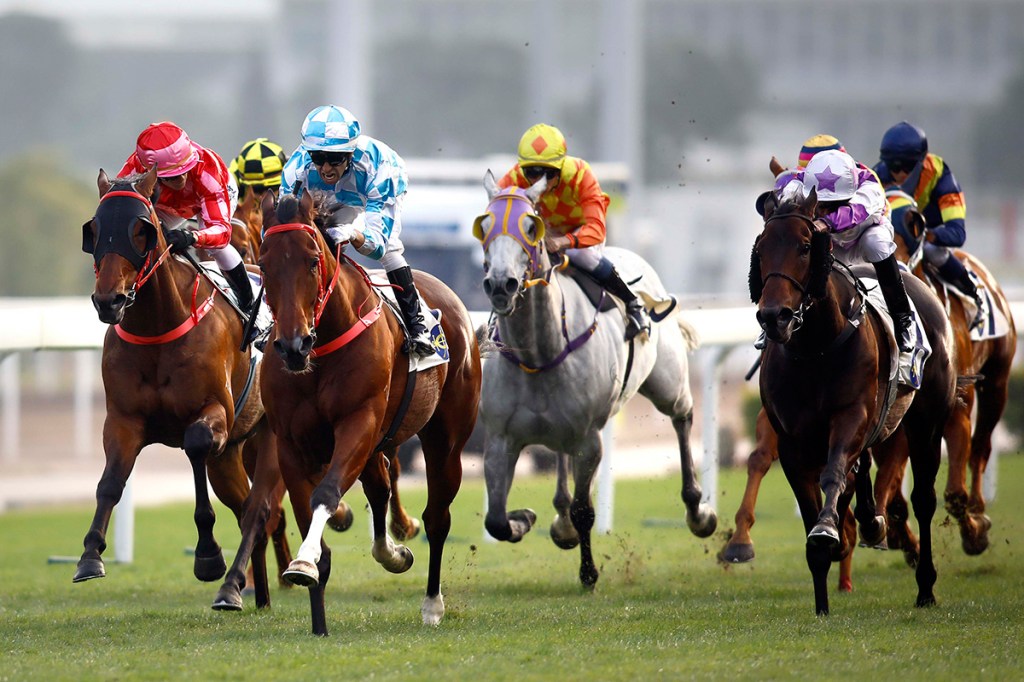 2019年1月20日賽馬日（10場田草、A+3跑道）