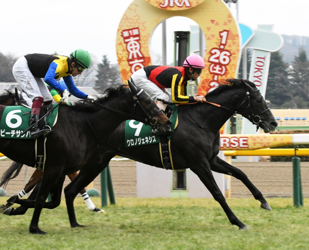 2019年5月19日日本橡樹大賽各場精選(小更新)