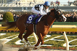 賀年後之重要賽事