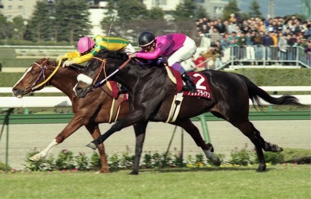 [Flameracing]賽馬黑歷史，成田拜仁突轉戰高松宮