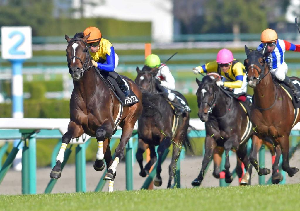 [Flameracing]主力大將不在，誰能奪菊花賞？（賠率週日更新版）