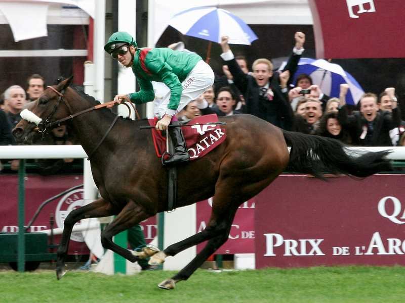 法國賽馬殿堂正式誕生！