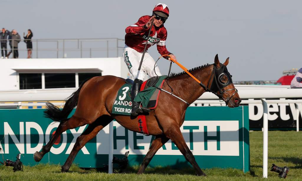 每日賽馬晚報(2022年2月16日),Tiger Roll因讓磅再度棄戰英國障礙大賽,安身立命杜拜照去可也