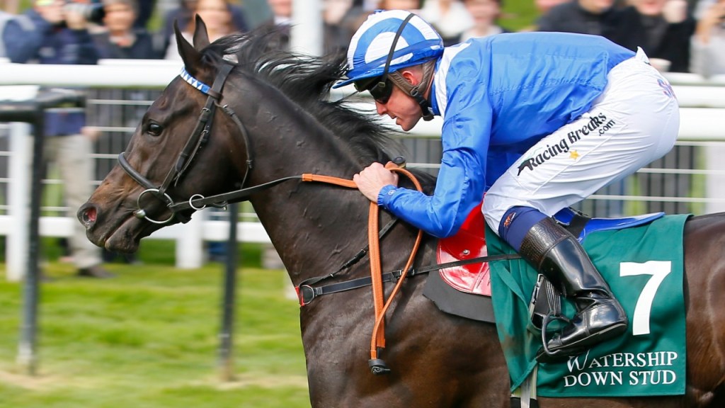 [快訊]無限大因傷退役