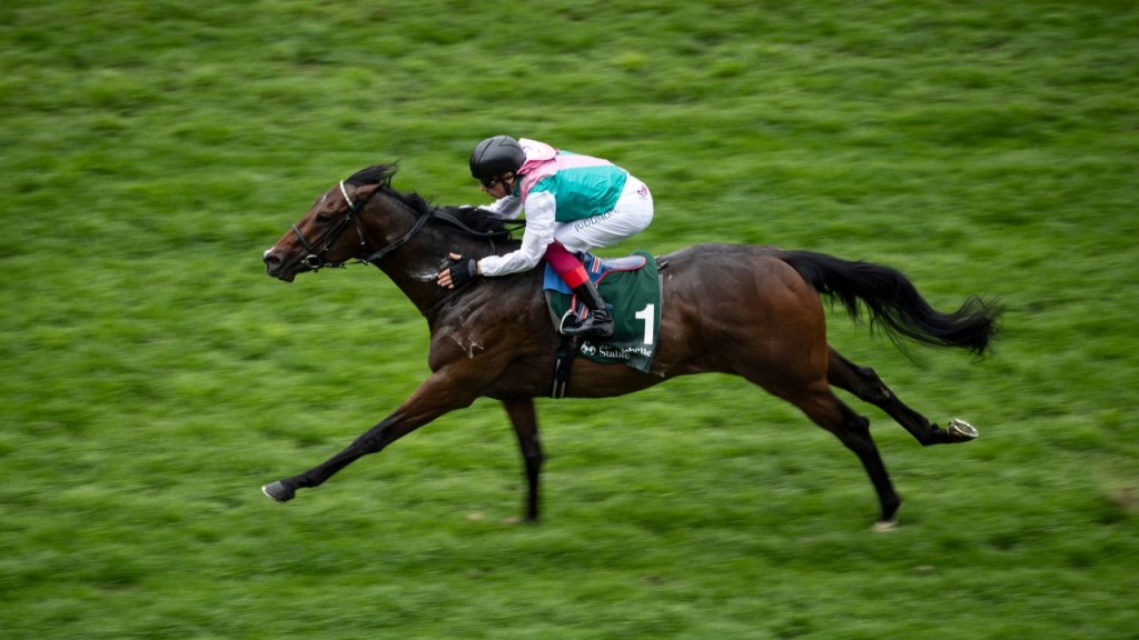 每日賽馬晚報（2025年5月29日），🇺🇸育馬者盃重返貝蒙園，🇭🇰金鑽貴人及紅運帝王上陣下有馬大蝕分上陣