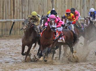 [Flameracing]賽馬人口專題，北美賽馬面對全球規則的兩條刺