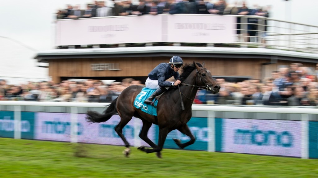 2019年6月1日葉森打吡大賽賽馬日各場推介（修正版）