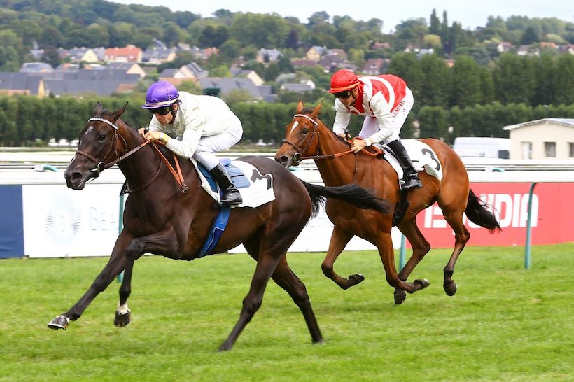 2019年6月16日賽馬日（11場田草、C+3跑道）+法國橡樹大賽全馬匹簡介及預測