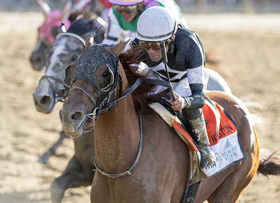 [Flameracing]貝蒙錦標，Sir Winston一氣讓主力中伏