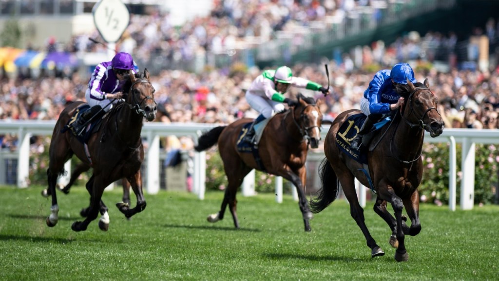 皇家雅士谷期間更新,2020年特例