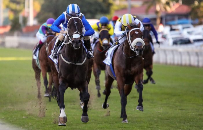 2020年2月1日大都會錦標七場賽事推介（內容依舊）