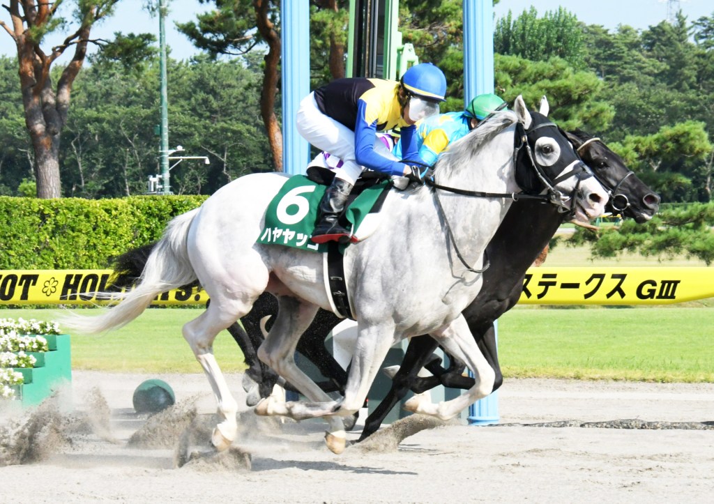 [Flameracing]特別更新，獵豹錦標，白毛馬中央賽事首次分級賽勝利