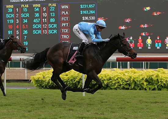 星州頂尖對奕，聖騎士能不能在打吡前放鬆