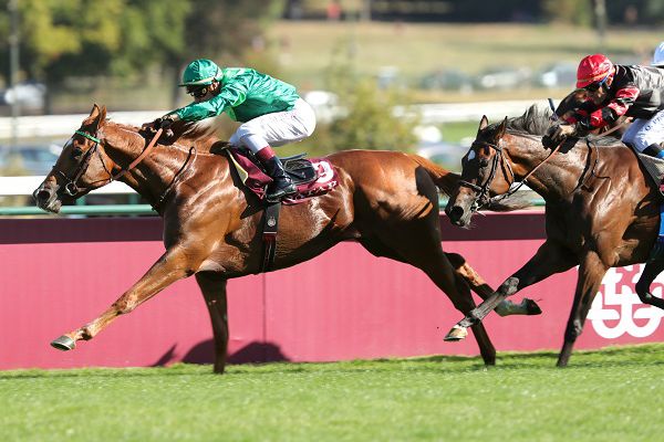 法國復賽日報復式報名