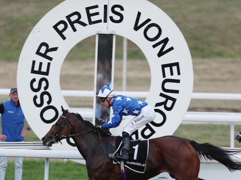 約克錦標，望穿秋水忽視下爆出半冷