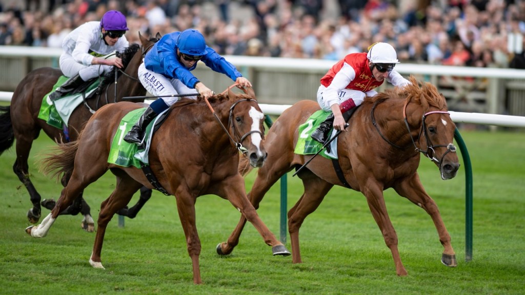 森林大賽實力參戰馬，高多芬反擊主力Earthlight