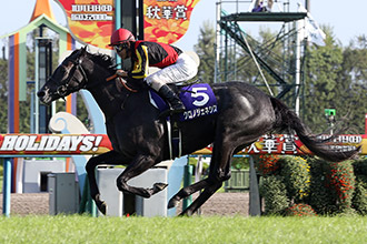 共十二匹日本賽駒獲邀參加國際賽，已有馬匹願意出賽。