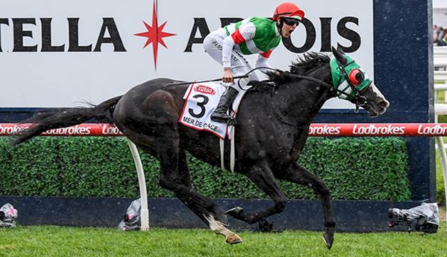 考菲爾德盃冠軍白朗冰川因傷退役