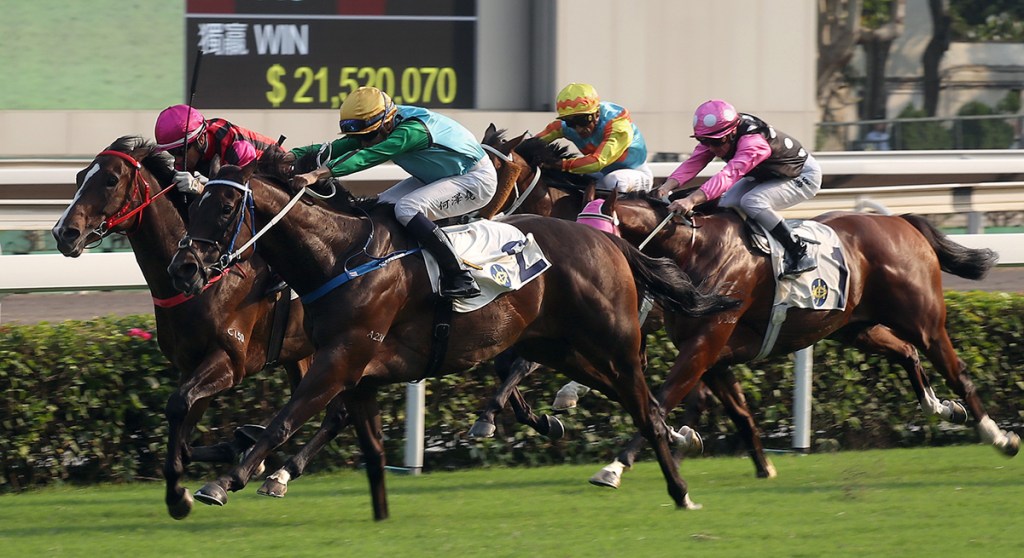 每日賽馬晚報（2022年11月24日），前香港馬跳出香港週六澳洲復出，Constitution Hill週六真上陣