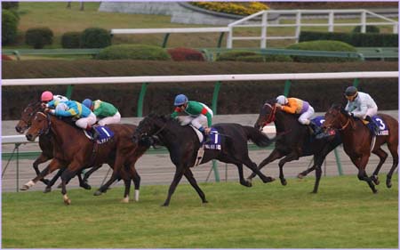 香港盃冠軍飛霸離世