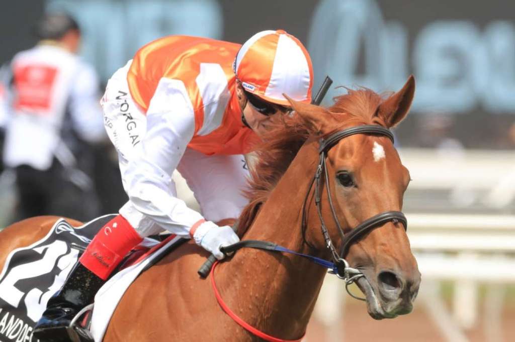 [Flameracing]墨爾本盃，信誓旦旦力保澳洲育馬界顏面，戴圖理被罰停賽代價重