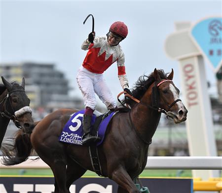 社台公佈2024年度種費