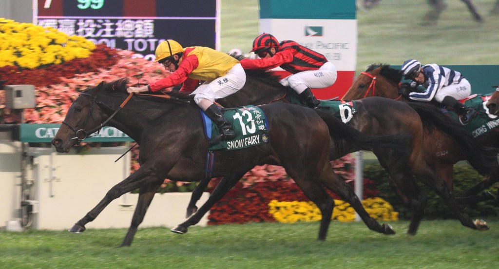 [Flameracing]經典賽事，飛雪仙蹤逆步速下仍奪香港盃