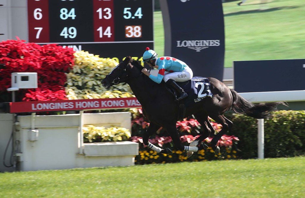 每日賽馬晚報（2020年11月24日），莫雷拉接騎時時有餘，金衣公子前往社台SS配種