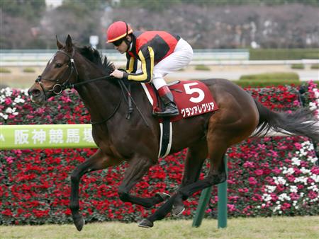 野田重擊還是放聲歡呼可以破咒，短途馬錦標早期展望（賠率最後更新版）