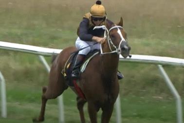 [簡訊]紐西蘭騎師取下相隔35年首勝