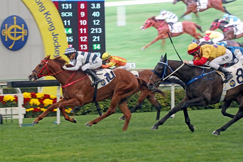 國際賽馬週報（2020年1月27日至2020年2月2日）賽事篇