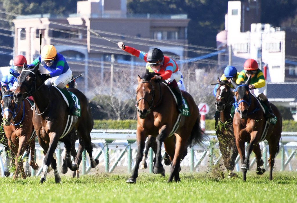 寶塚紀念賽大熱攔路虎，黑馬份子掛鎖能不能再度突圍？