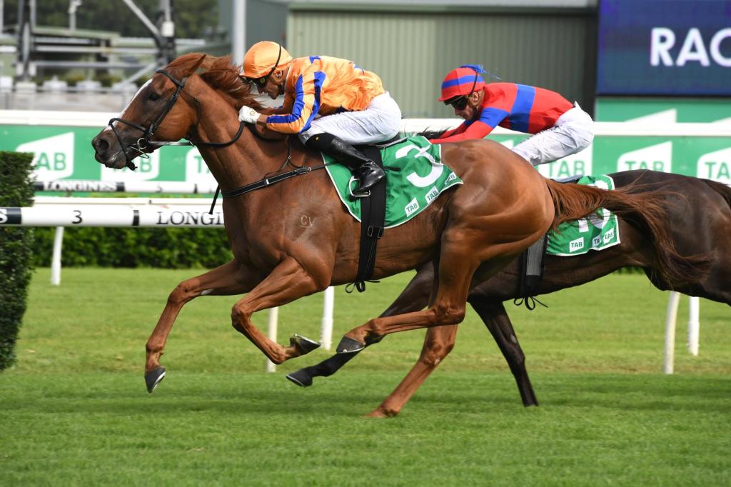 每日賽馬晚報(2021年12月17日),奧雲與戴善勤拆夥,黎昭昇來港從練