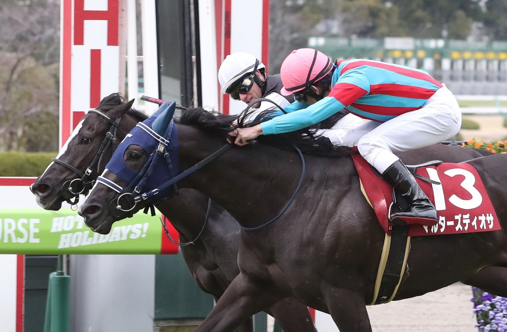 國際賽馬週報（2020年3月1日至3月7日）賽事篇