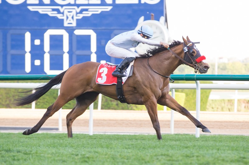 杜拜超級星期六第一部份，忠信泥地不可能的後上，美國馬飛馳在野奇襲短途草地賽