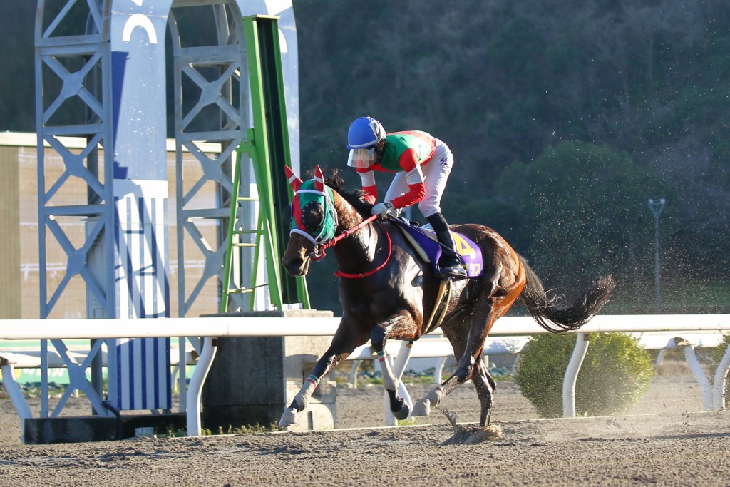 賽馬專題，日本高知競馬場走出谷底的奇跡