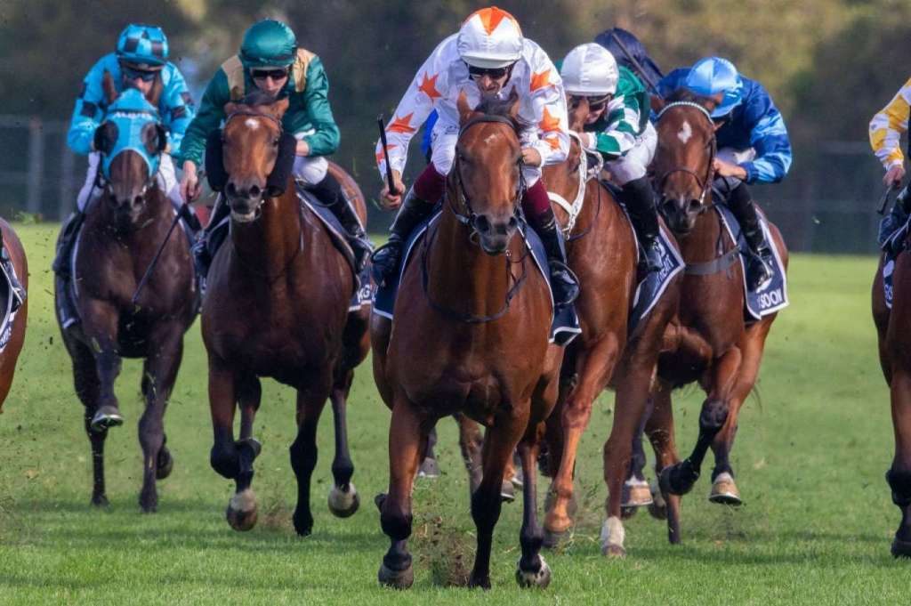 金拖鞋大賽，Farnan再度屠龍