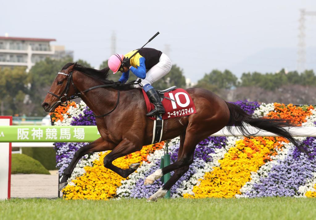 阪神大賞典，笑一笑發揮路有專長威力