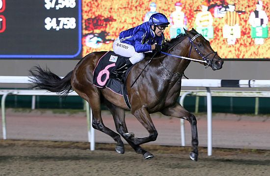 2020年11月21日新加坡金盃賽馬日九場重點推介