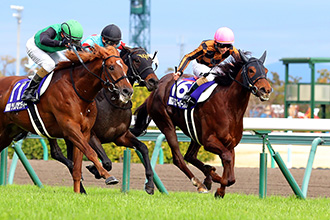 多駒縮程初戰千二,會影響高松宮大局嗎?