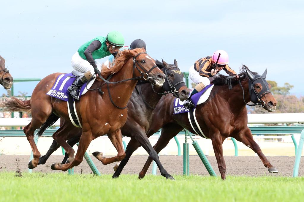 凱旋門大賽之後？英國冠軍賽馬日？育馬者盃？日本盃？還是香港國際賽