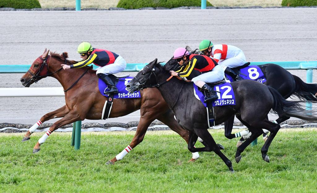 旺紫丁被女皇伊利沙伯二世盃排外檔,能否順利克服一切?(賠率二次更新版)