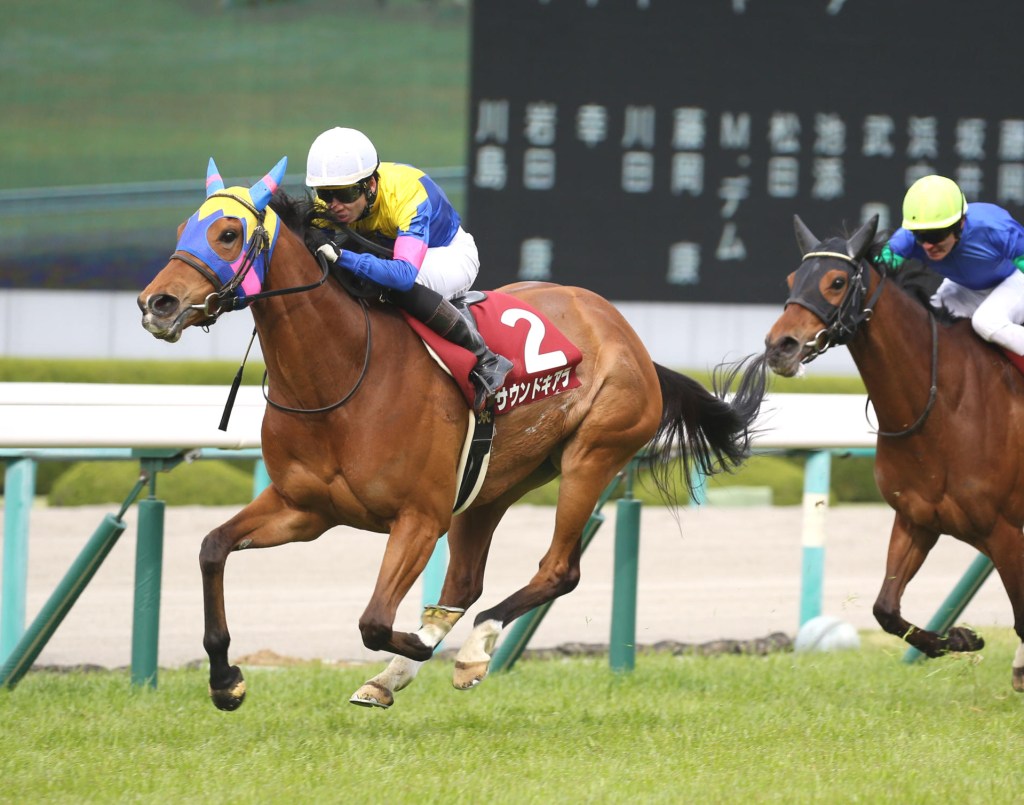 當馬狀態一勇，絕不能小看的一級賽亞軍輝姬美韻