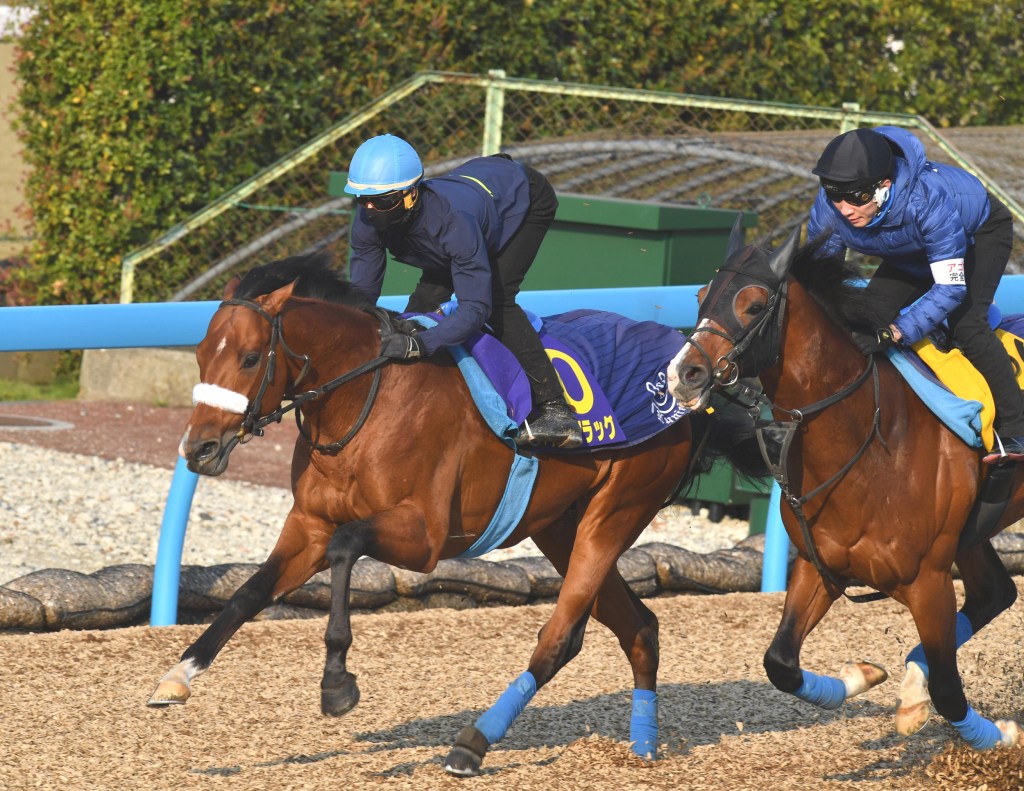 2020年4月19日賽馬日（10場田草泥混合、C+3跑道），日本二千堅尼皐月賞特集